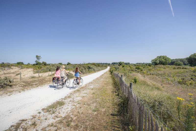 De mooiste fietsroutes in Vlaanderen